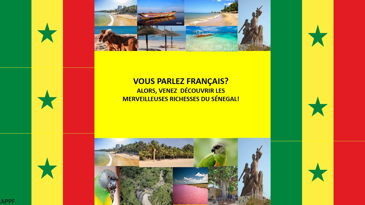 Affiche Sénégal 2 ESC